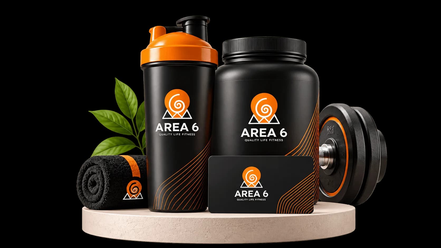 Area 6 Brand Logo Mark